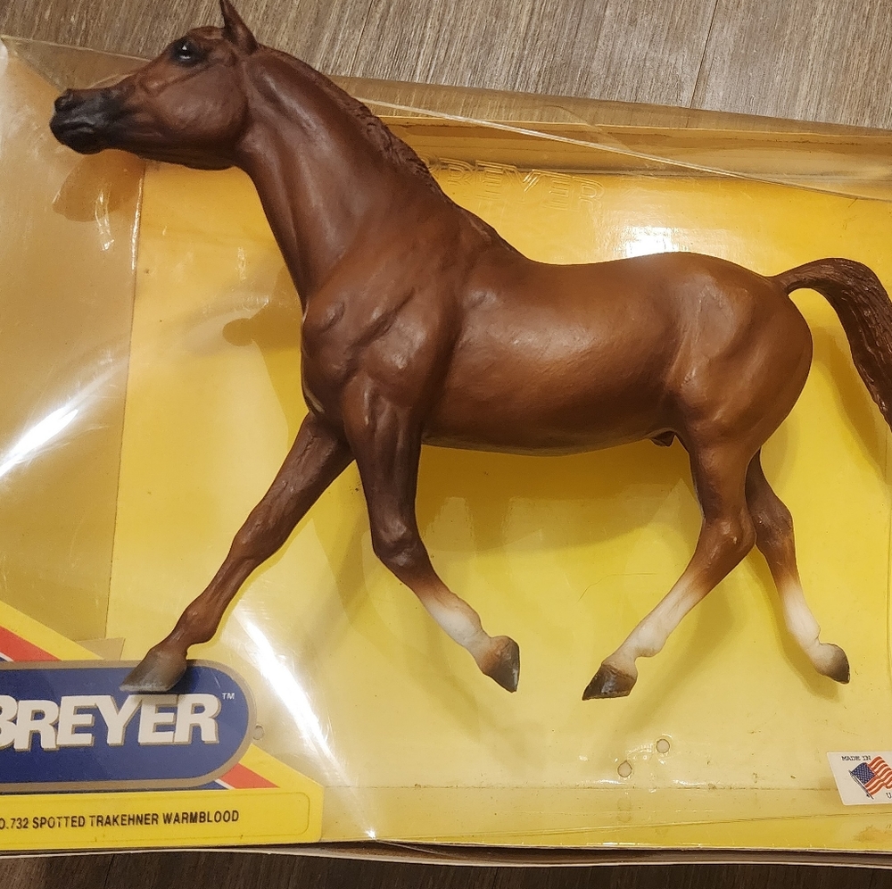 No 732 Spotted trakehner warmblood